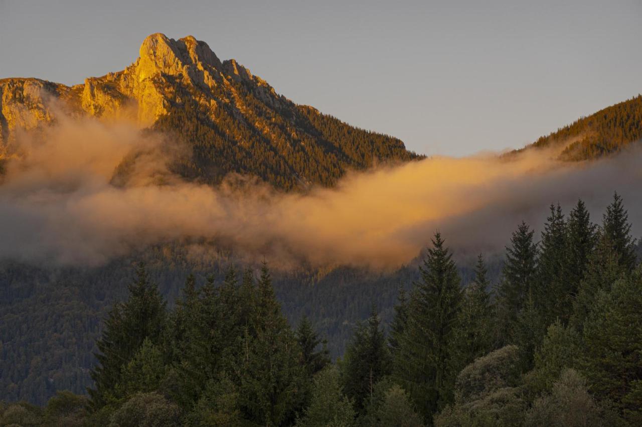 Gori Boutique Apartments - Tirol รอยท์เทอ ภายนอก รูปภาพ